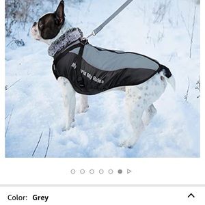 Taglory XL dog coat/collar